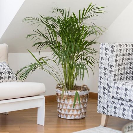 Apartamento Boutique Con Terraza Y Vistas Al Mar. Porto Vilanova Villanueva De Arosa Ngoại thất bức ảnh